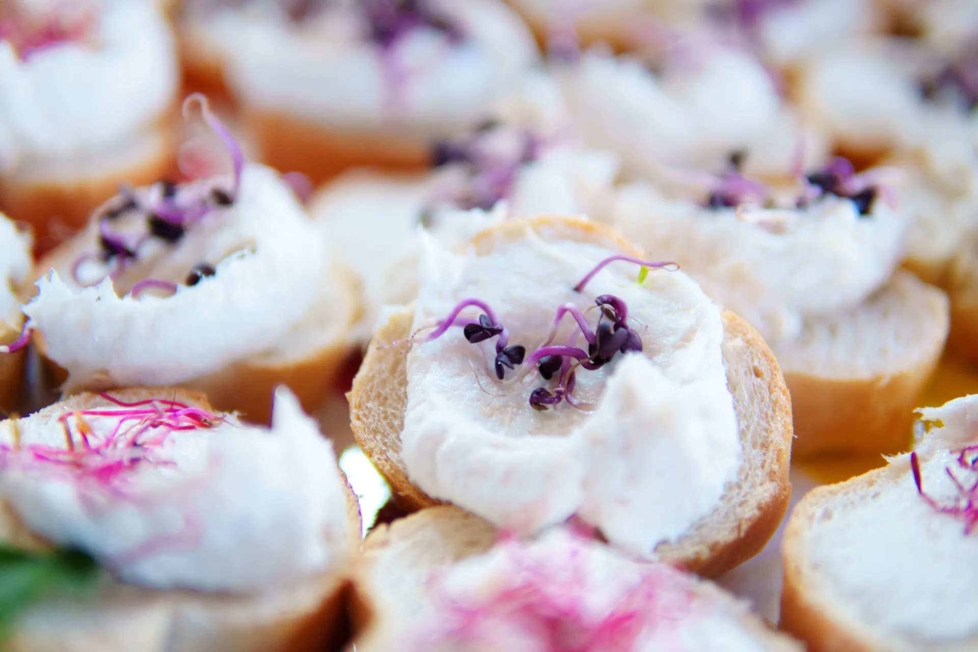 Catering con cucina tradizionale veneziana in barca a Venezia - Dream Boat Venice